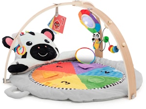 Baby Einstein Zen's Activity Milestones Babygym