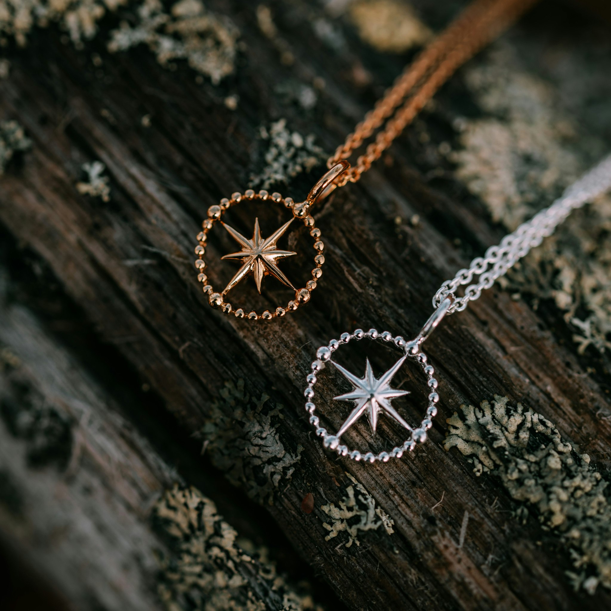 Kompass halsband
