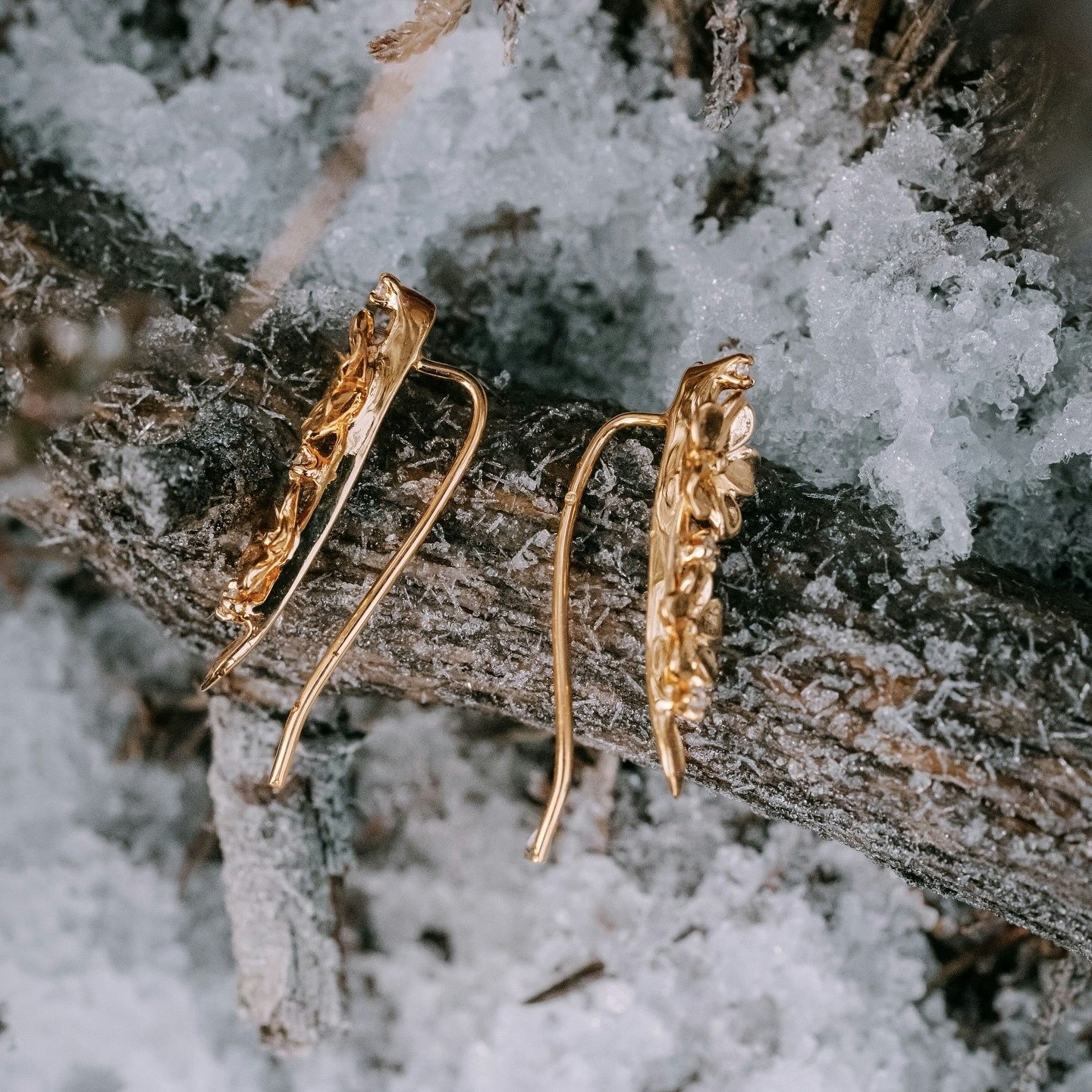 Förgätmigej öronklättrare guld