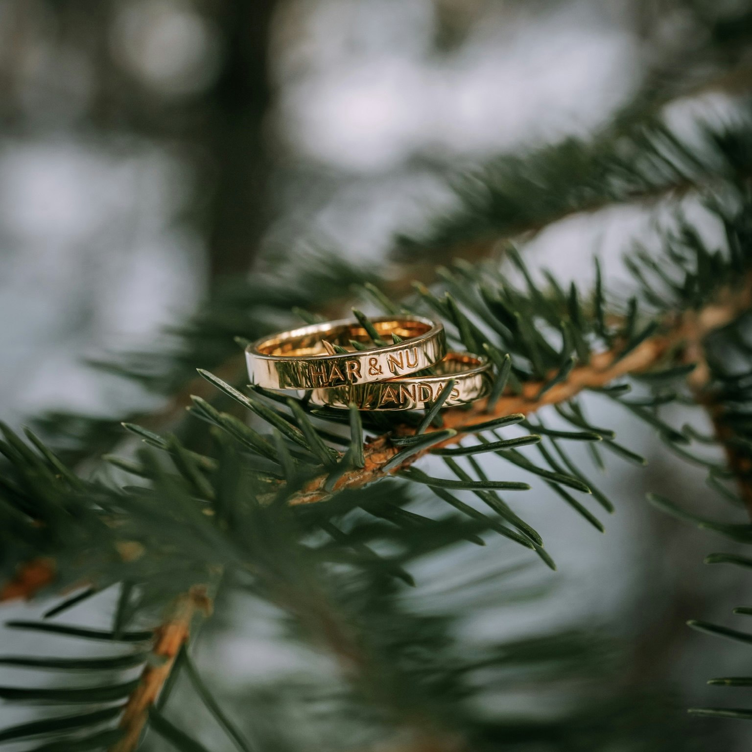 Här & Nu ring guld