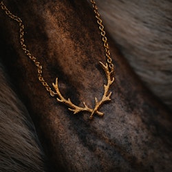 Vilda halsband guld