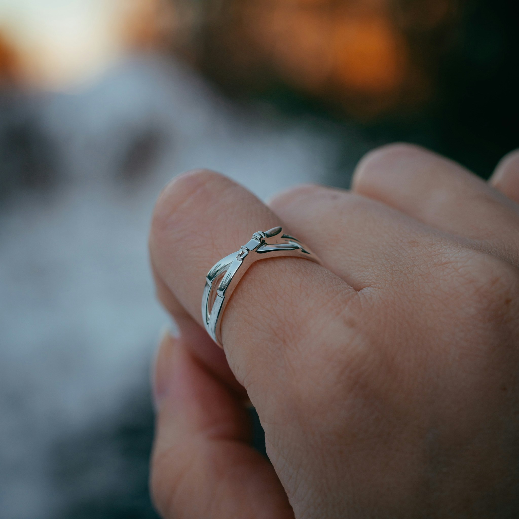 Skida ring