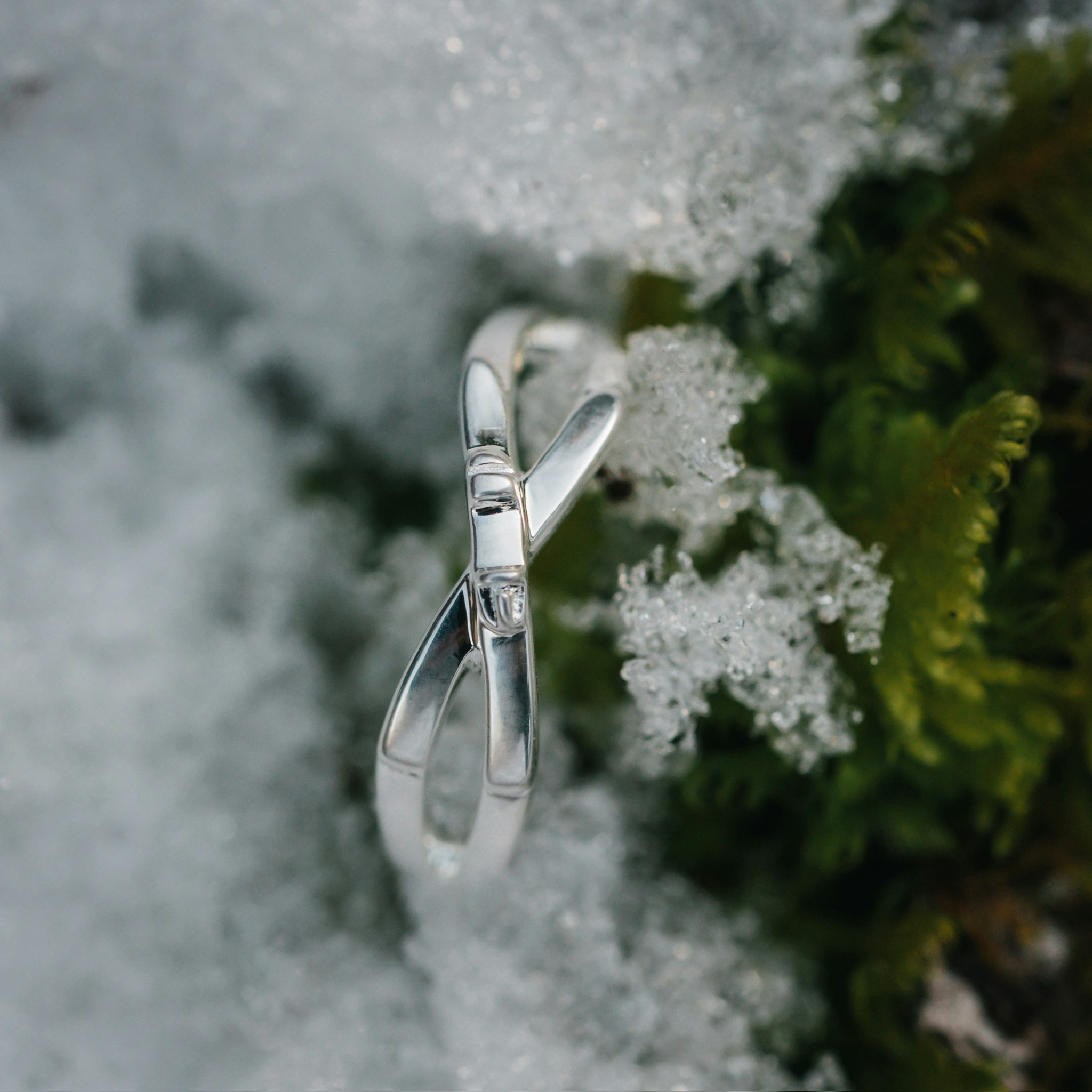 Skida ring