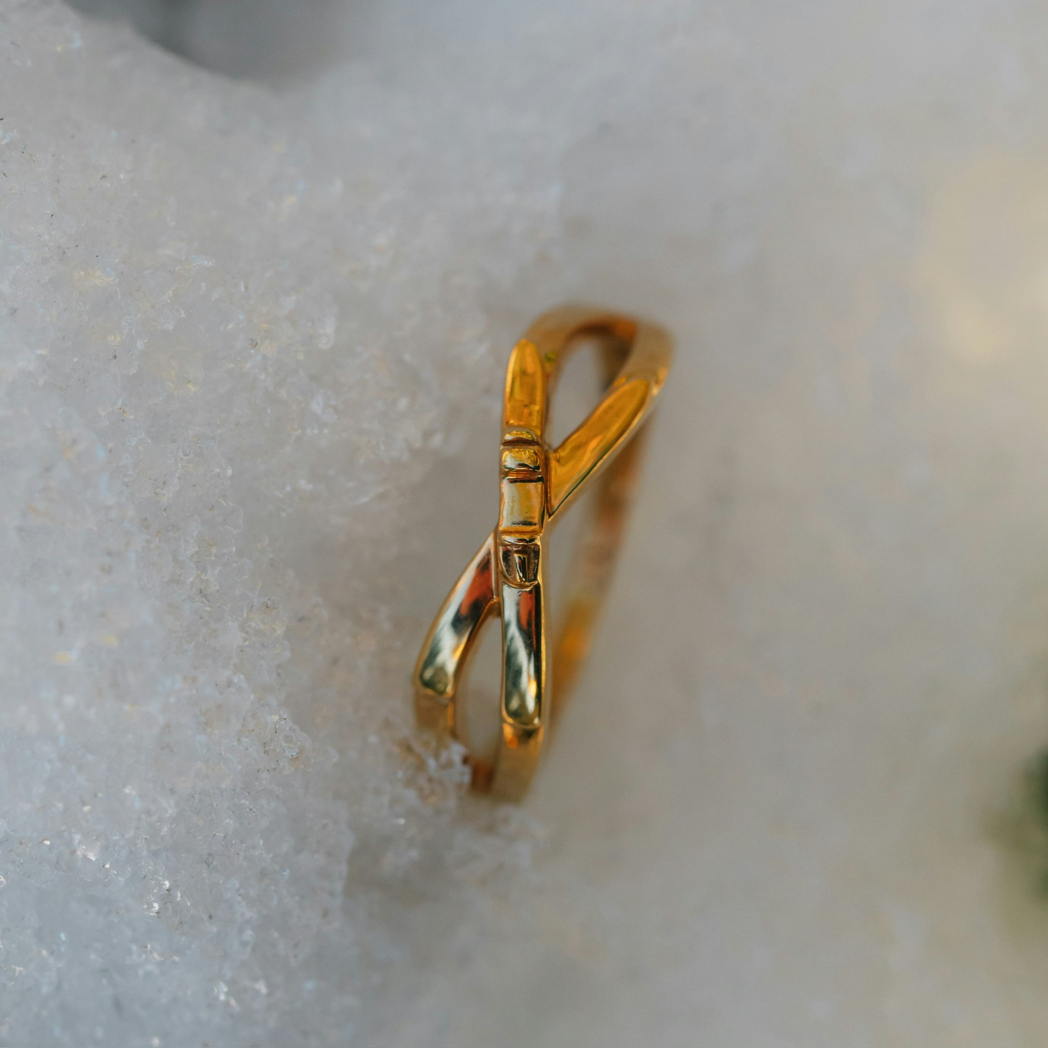Skida ring guld