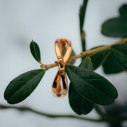 Skida ring guld
