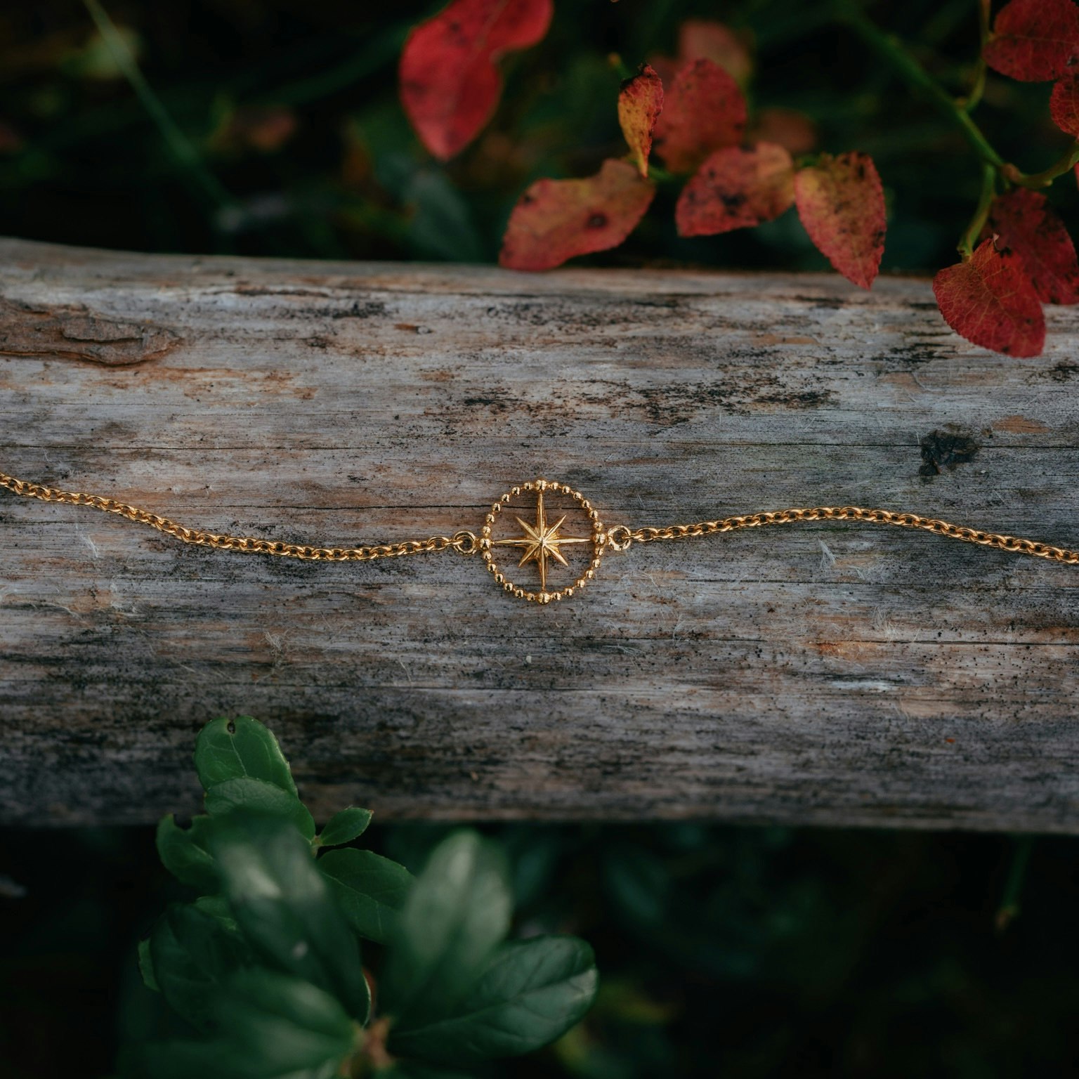 Kompass armband guld