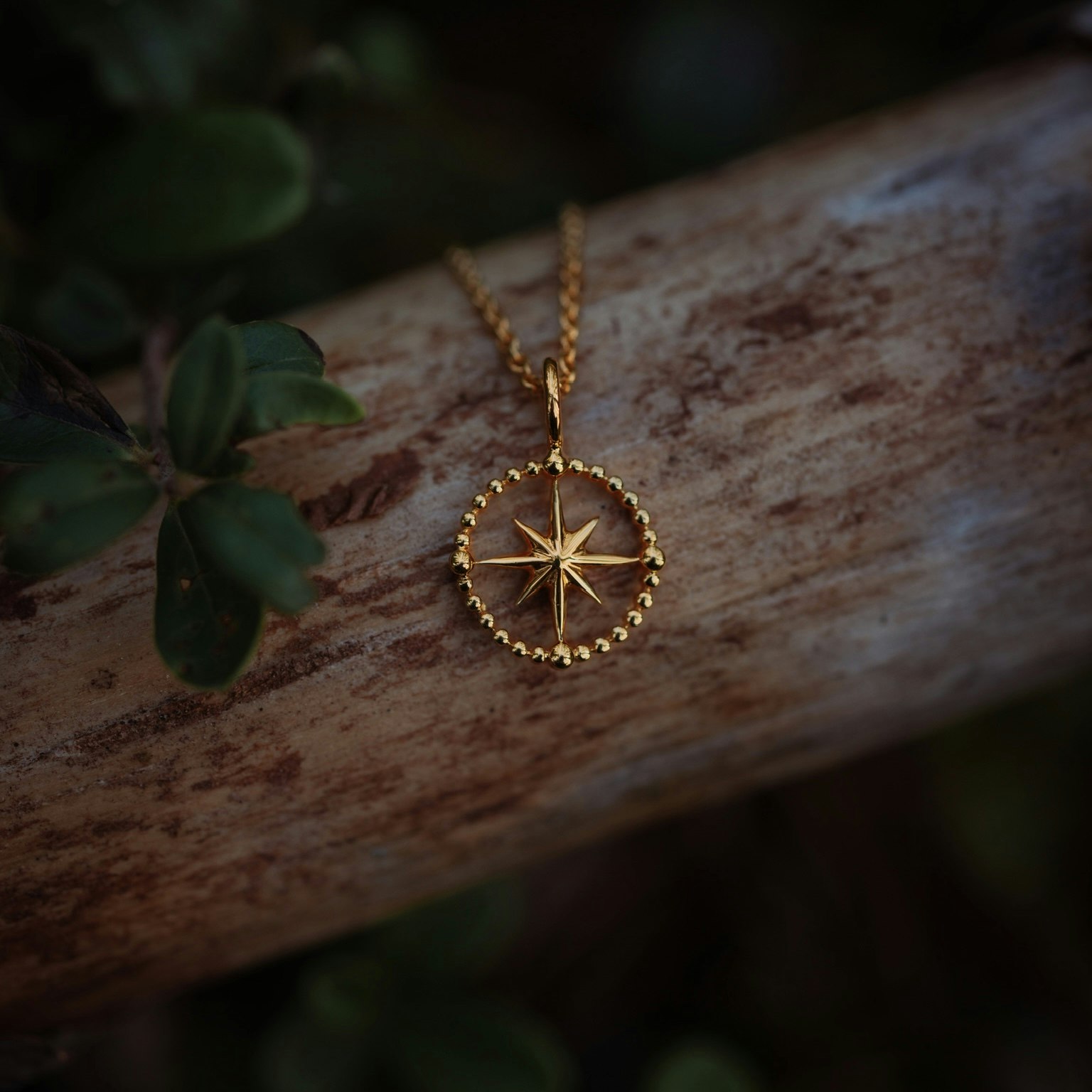 Kompass halsband guld