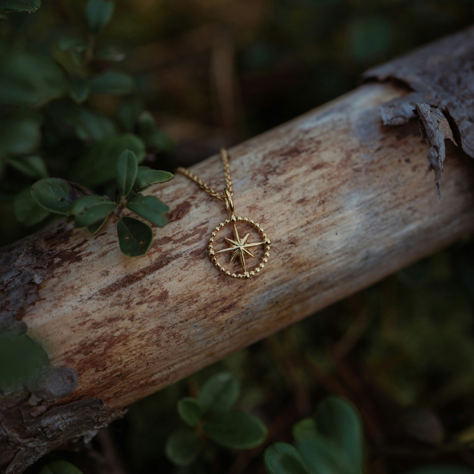 Kompass halsband guld
