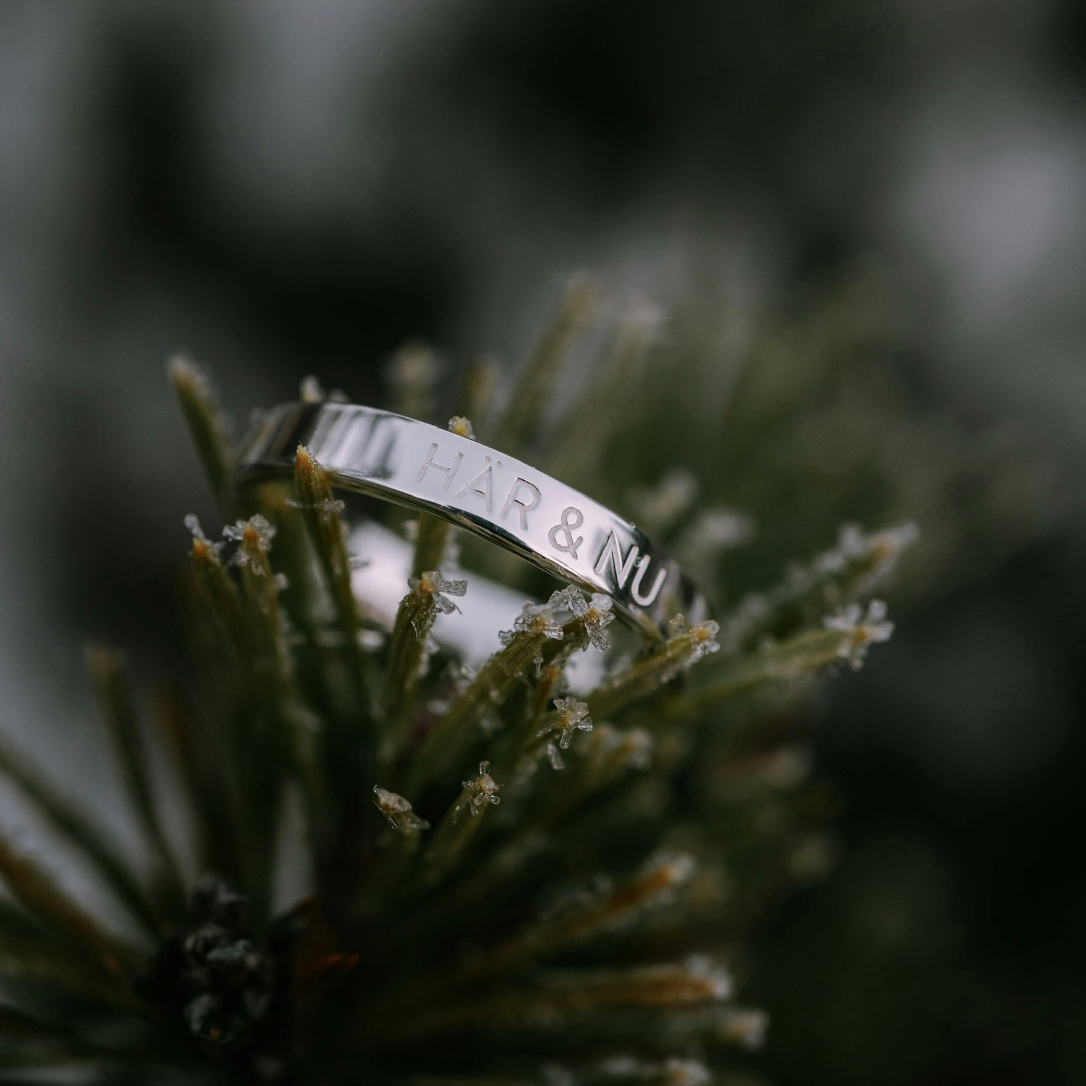 Här & Nu ring