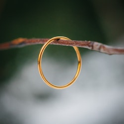 Lo fingertoppsring guld