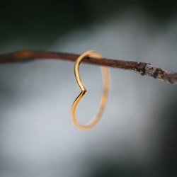 Trolsk fingertoppsring guld