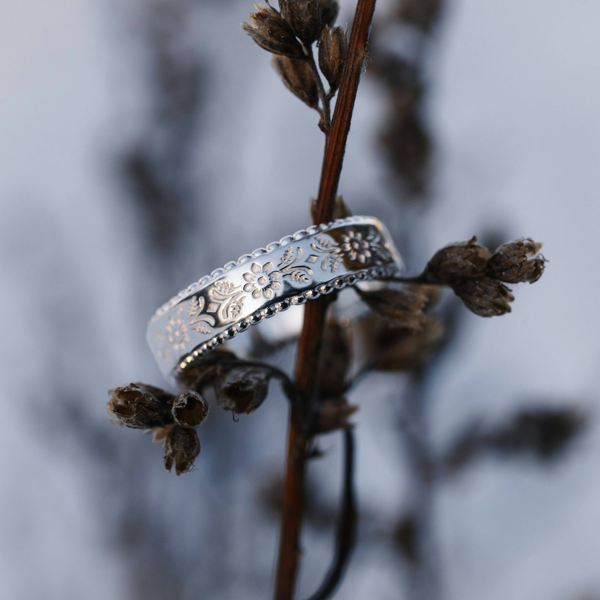 Arv ring