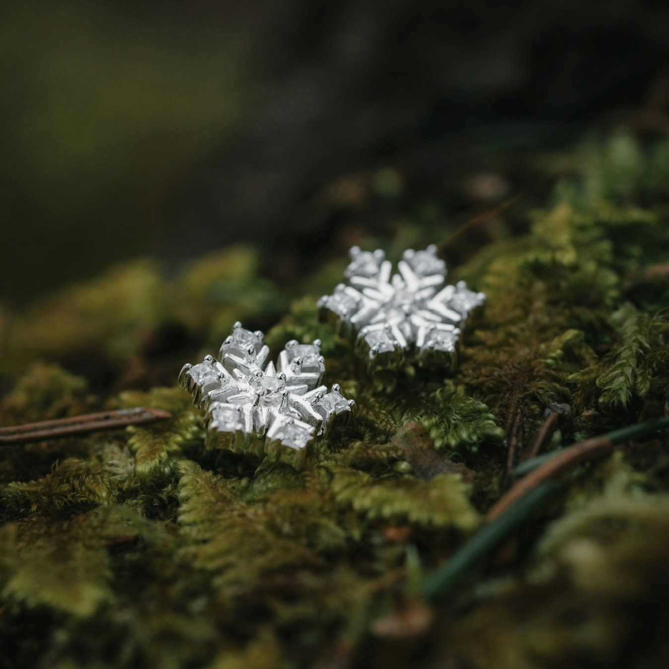 Snöflinga örhängen