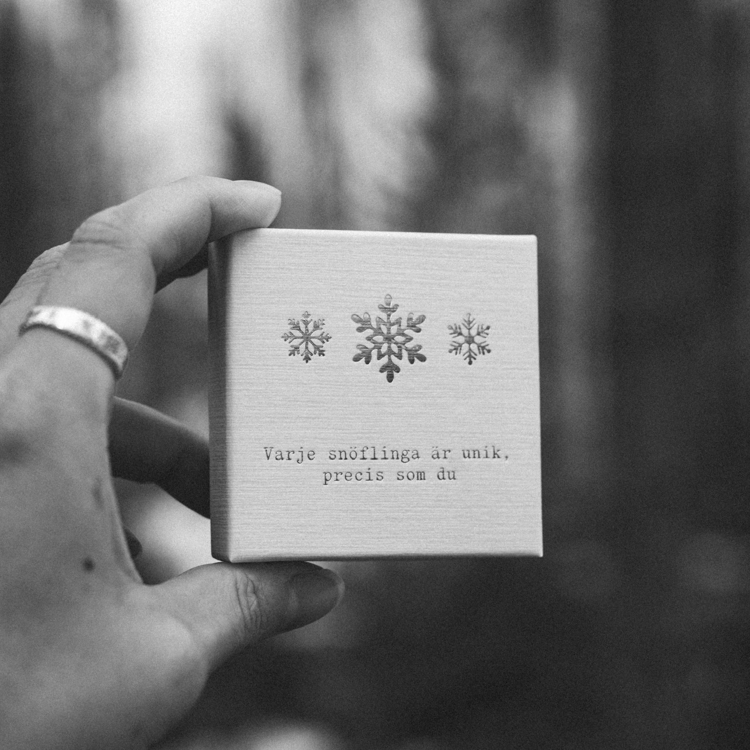 Smyckesask Snöflinga