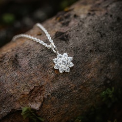Evig halsband