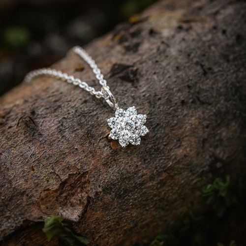Evig halsband