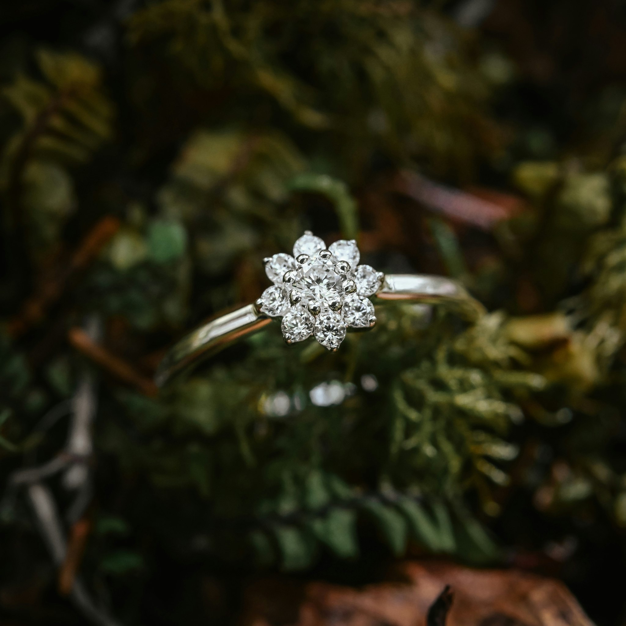 Evig ring
