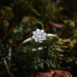 Evig ring