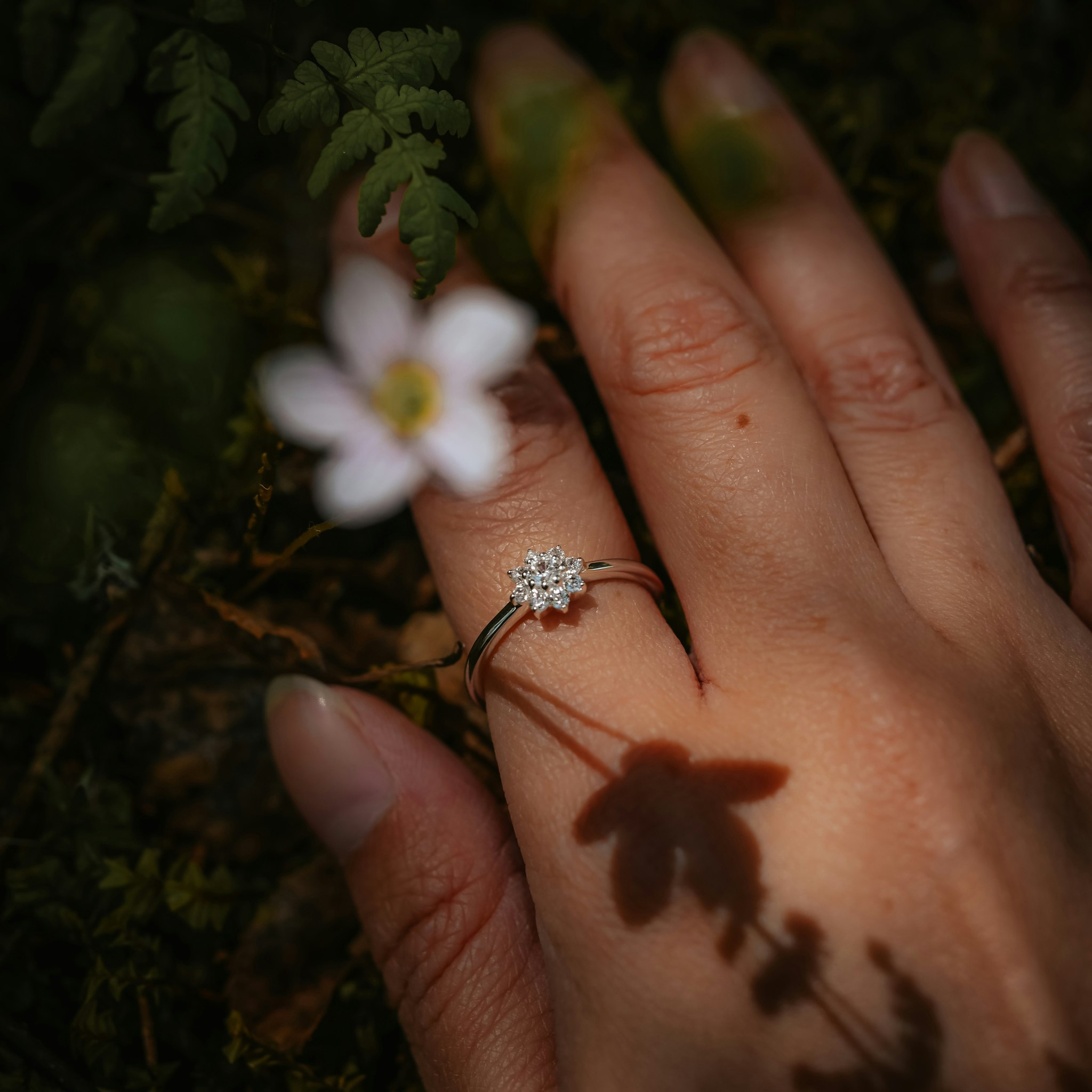 Evig ring