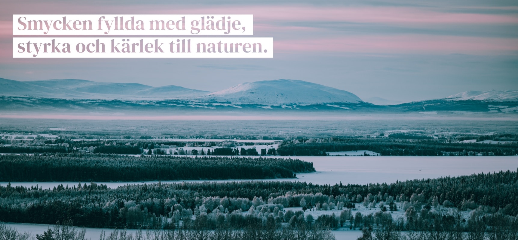 Evjeli