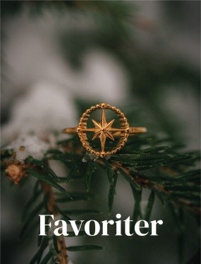 Evjéli