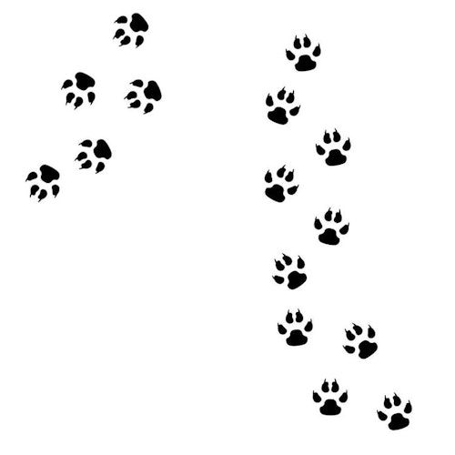 Wall stickers paw animal tracks black, 15 pcs.