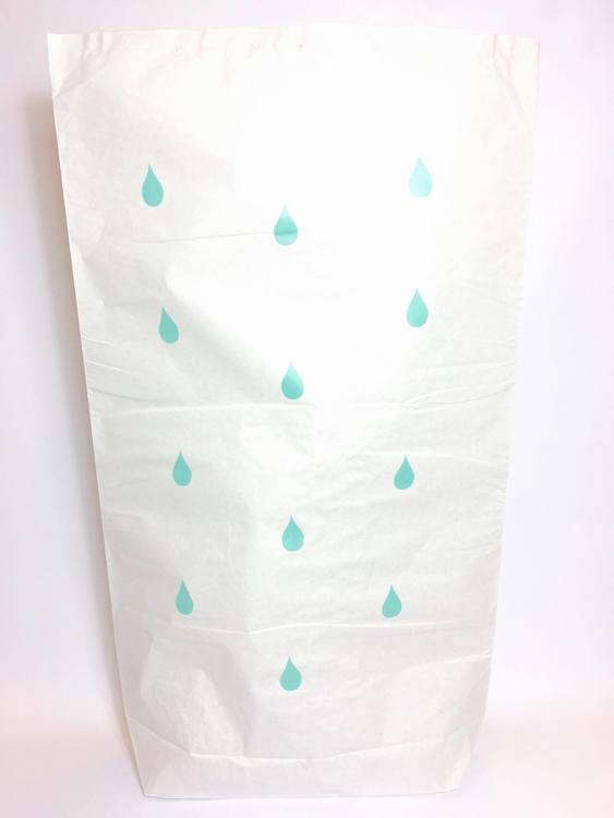 Paper bag / Storage bag in paper- mint drops 