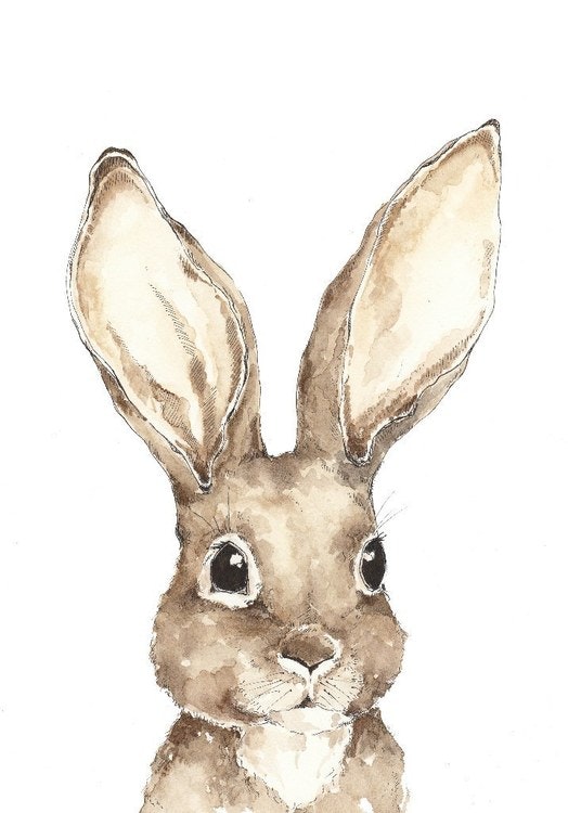 Poster Rabbit, poster for the children's room 