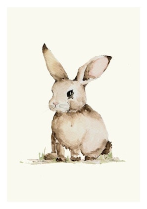 Poster liten kanin, poster till barnrummet