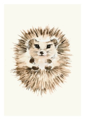 Poster hedgehog, poster for the children's room