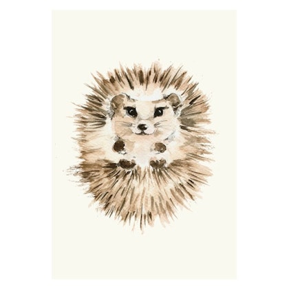 Poster hedgehog, poster for the children's room