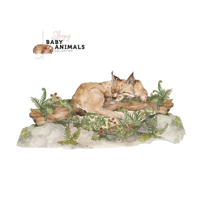 Wall decoration, wall stickers wild cat