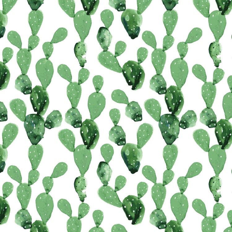 Wallpaper cactus - Babylove.se