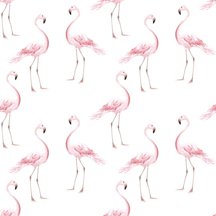 Dekornik, tapet Flamingos 