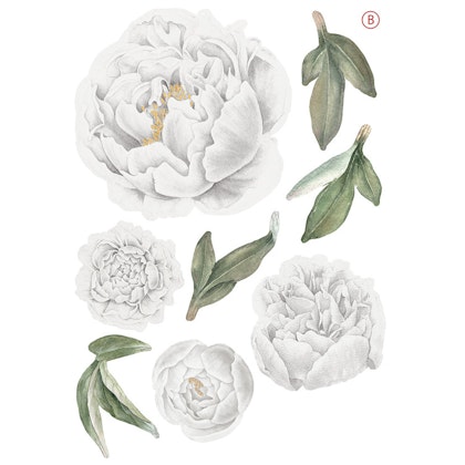 White peonies wall stickers, wall decoration XL