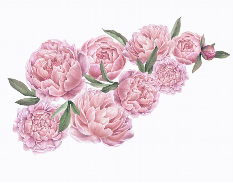 Pink peonies wall stickers, wall decoration L 