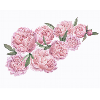 Pink peonies wall stickers, wall decoration L