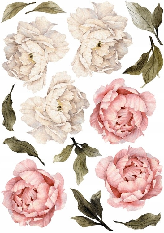 Old pink peony wall stickers, wall decoration XL 