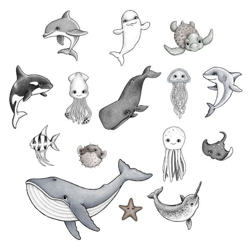 Stickstay, Ocean Friends