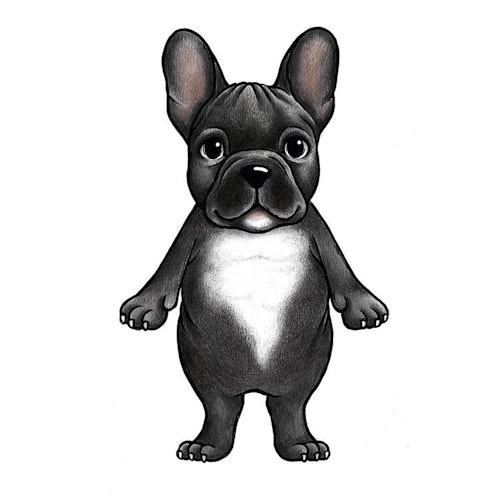 Stickstay franska bulldoggen Boss