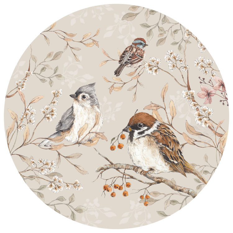 Dekornik, birds in a circle, wall stickers for children's room Dekornik, birds in a circle, wall stickers for children's room