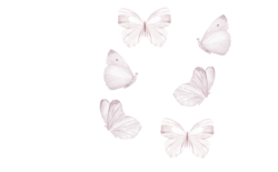 That`s Mine, White Butterflies, wall stickers