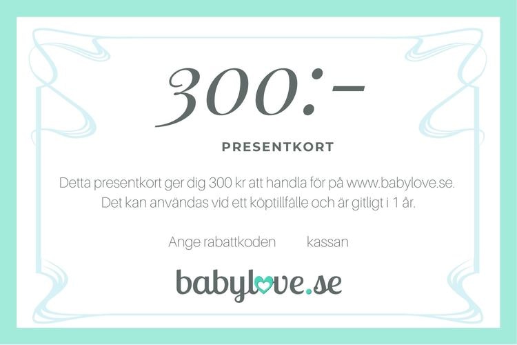 Presentkort 300 kr 