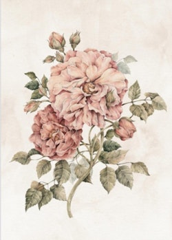 Poster vintage pioner,  poster till barnrummet