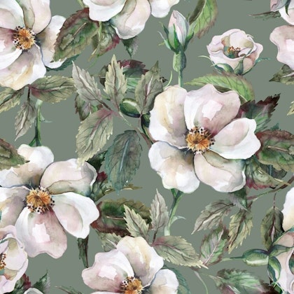 Dekorillo, wallpaper White roses
