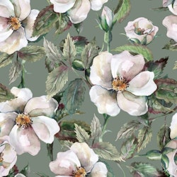 Dekorillo, tapet White roses
