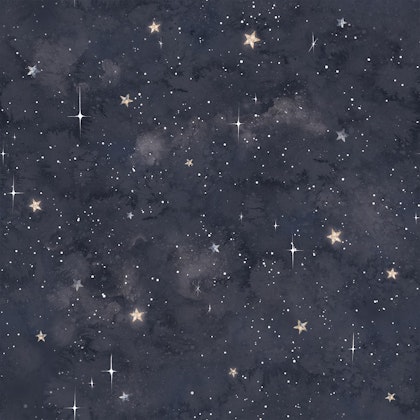 Dekorillo, wallpaper Cosmos sky navy blue