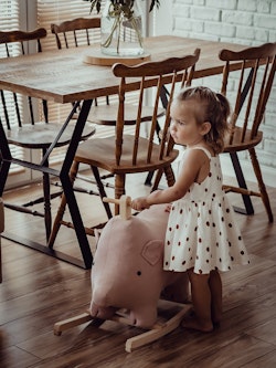 Rocking horse, Piggy Rocker