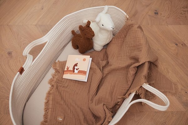 Jollein, Moses basket with mattress and cover 