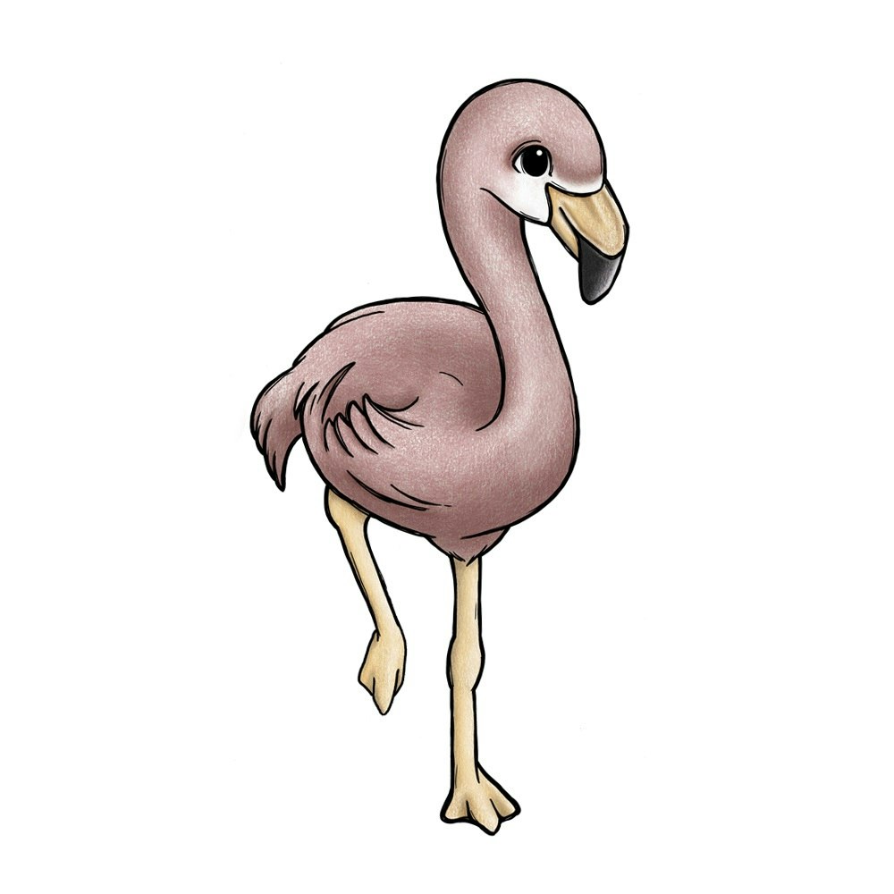 Fågelvänner väggklistermärken, Stickstay Flamingon Flo